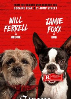 Backstreet Dogs flemmix