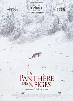La Panthère des neiges flemmix